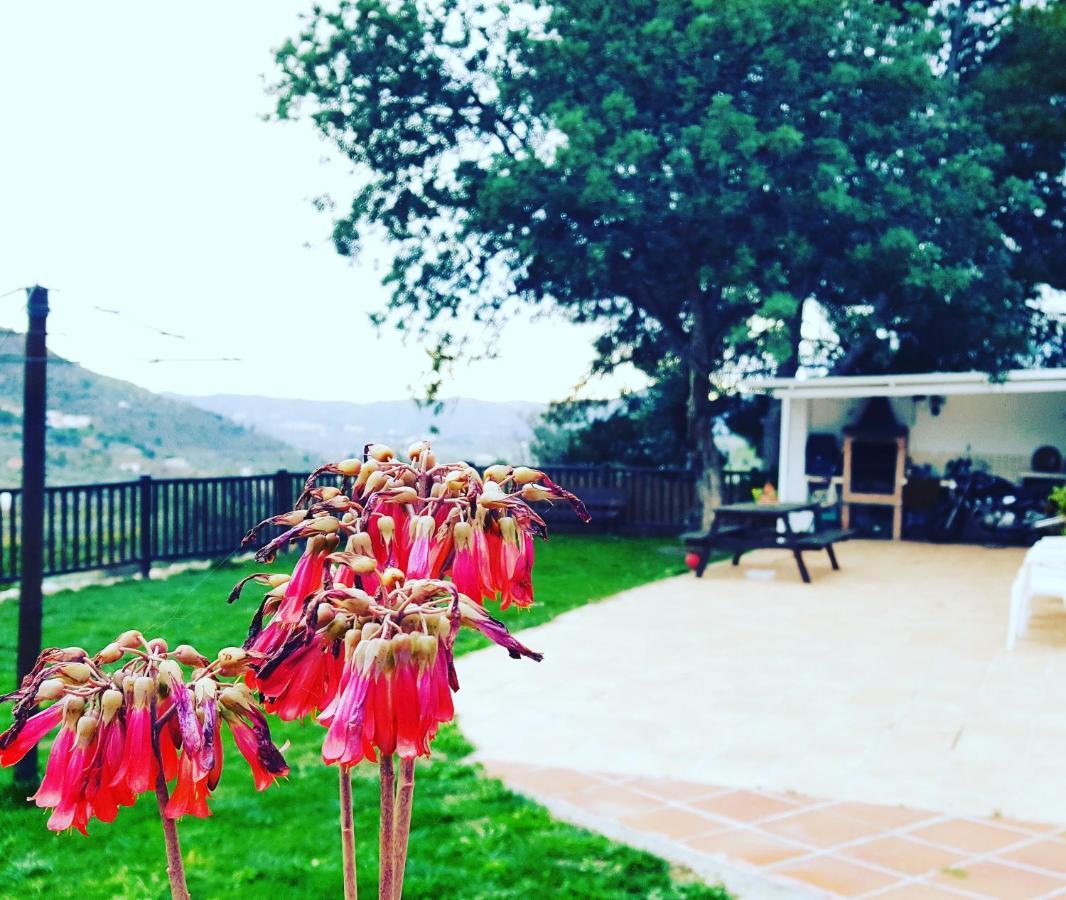 Casa Molina Villa Alcaucín Buitenkant foto